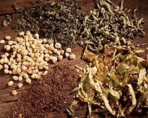 鹤壁市鹤山区微是金银花专业种植合作社(岭南的凉茶，竟然可以“茶到病除”？)