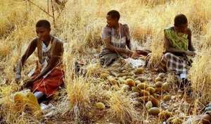 饥荒海难一键种植(处在饥荒中的非洲：30亿亩耕地，为何宁可种植芝麻，很少种粮食？)