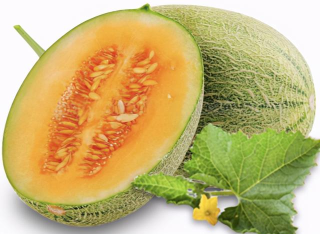 如何栽培出高品质的哈密瓜呢？此方法简单、独特、产量效益高