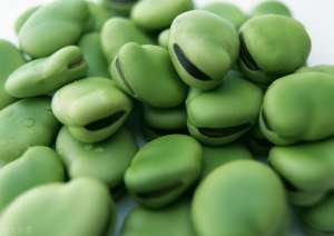 麻豌豆 种植(蚕豆种植时间和方法)