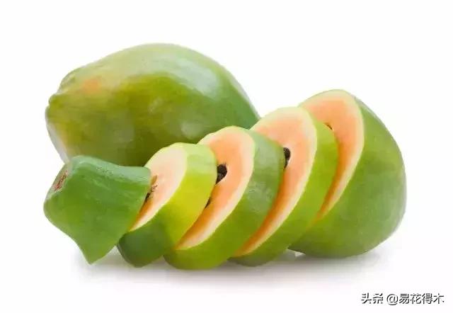 贵州正安木瓜属于蔷薇科还是木通科？