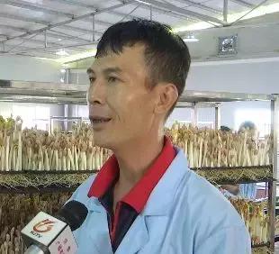 「给力」中洲镇：水培蔬菜基地首批花生芽开售 带动农民就业增收