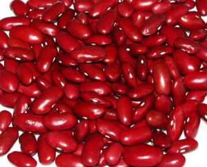 红云豆种植技术(红芸豆亩产300斤，却能卖到5块一斤，满足了这两个要求您也可以种)