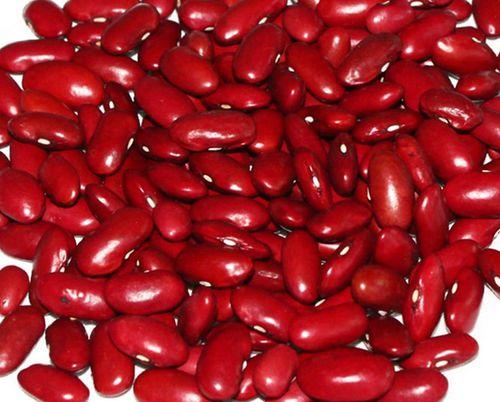 红芸豆亩产300斤，却能卖到5块一斤，满足了这两个要求您也可以种