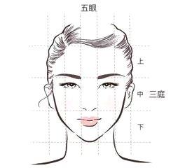 种植眉毛时，应结合眉毛的纹理来确定种植的方向和角度。