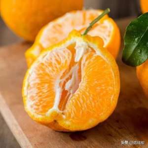 蜜橘种植技术(想要丰收的柑橘栽培技巧，快来学习吧)