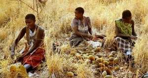 饥荒海难 种植(处在饥荒中的非洲：30亿亩耕地，为何宁可种植芝麻，很少种粮食？)