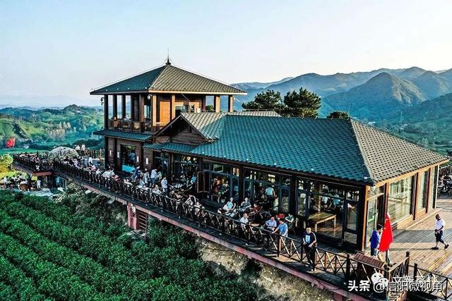 吸引全国游客30万+ 信阳文新茶村助村民年均增收3000元+