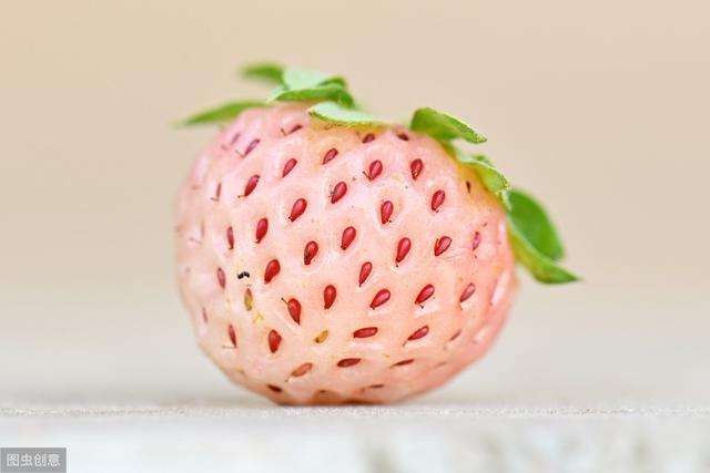 菠萝莓酸甜可口有菠萝的味道，种植简单容易，无奈产量过低