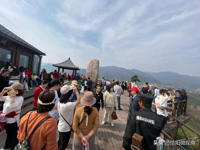 吸引全国游客30万+ 信阳文新茶村助村民年均增收3000元+