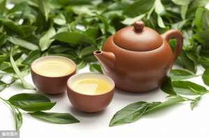 茶叶 种植(茶叶的种植技术分析及管理策略，提高茶叶的收成和茶叶的香醇度)