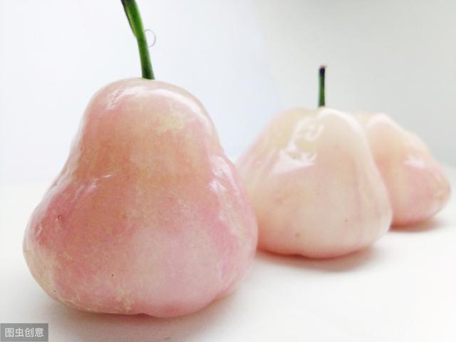又名“瓜哇蒲桃”的莲雾，价格昂贵口感清甜，如何种才优质优产？