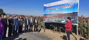 谷子的种植管理技术(高粱绿色高效轻简化栽培技术（测产）观摩在沁县举行)