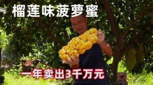 榴莲蜜种植成本(火山岛上种出榴莲味菠萝蜜，从无人问津到供不应求，他是如何做的)