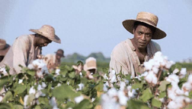监工手里的长鞭：棉花种植园里，令黑人奴隶最胆寒的东西