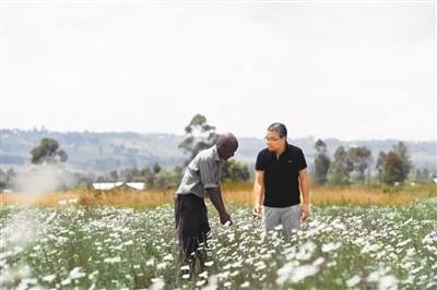 与肯尼亚农民分享丰收的喜悦（侨胞说·祖国在我心中（83））