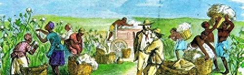 监工手里的长鞭：棉花种植园里，令黑人奴隶最胆寒的东西