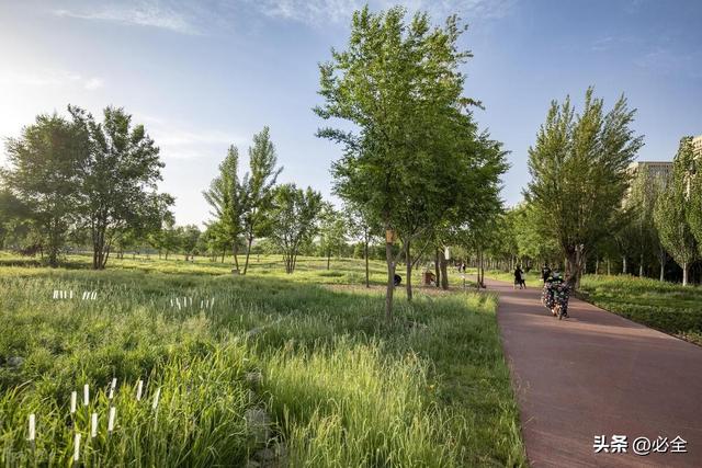 市政园林景观绿化工程施工流程注意事项和树种选择