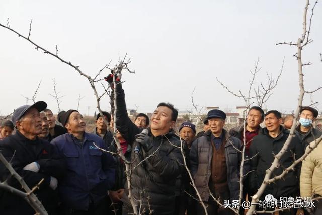 宜阳县2023年春季花椒种植技术培训班开班