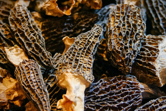 夏天到了，16种云南野生蘑菇辨别图片，带你认识不同的蘑菇和吃法