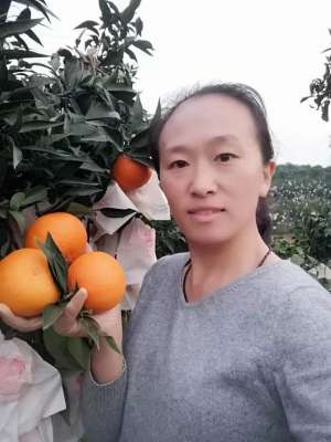 蜜桔如何种植(女白领辞职回乡种柑橘，仅用10亩地实现年入30万，其中有何秘诀？)