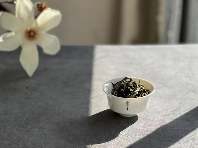 白茶属于什么茶？是热性还是凉性？7个角度带你一次性了解白茶！