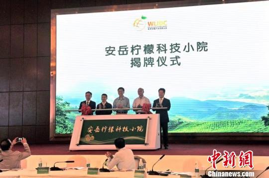 十国专家走进“中国柠檬之都”分享绿色柠檬种植技术