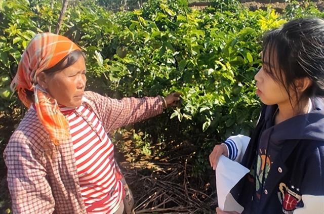 特色产业种植的调研报告—以云南省红河县车古乡百香果种植业为例