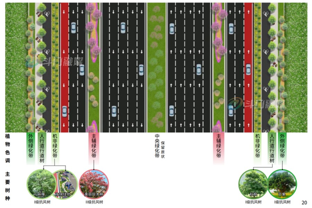 珠海大道扩建工程绿化设计方案意见征集