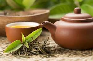茶苗种植如何管理(如何管理好茶园，好喝的茶叶是如何种植出来的呢？)