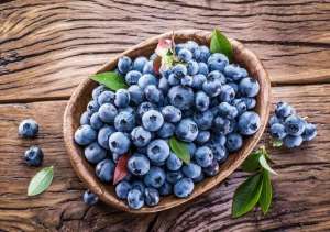 黑珍珠蓝莓如何种植(美味“蓝”不住江阴徐霞客镇蓝莓采摘攻略来了)