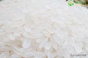 黑大米种植(大米价格2023年是涨是跌？现在大米多少一斤？)