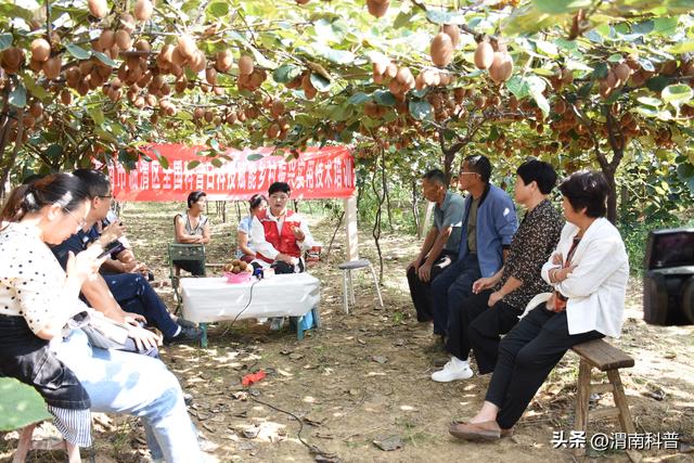 渭南2023年全国科普日猕猴桃管理技术培训“云课堂”在田家村开讲
