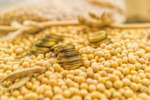 玉米种植补贴政策(2022年玉米补贴68元、大豆补贴268元？粮补会不会上涨？)