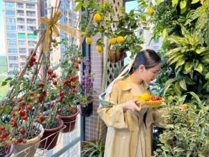 上海青菜的种植技术(上海90后夫妻，1个垃圾筐1个矿泉水瓶立体栽香葱，实现蔬菜自由)