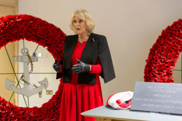 又到了11月，送你一朵小红花，英国王室戴花有何玄机？