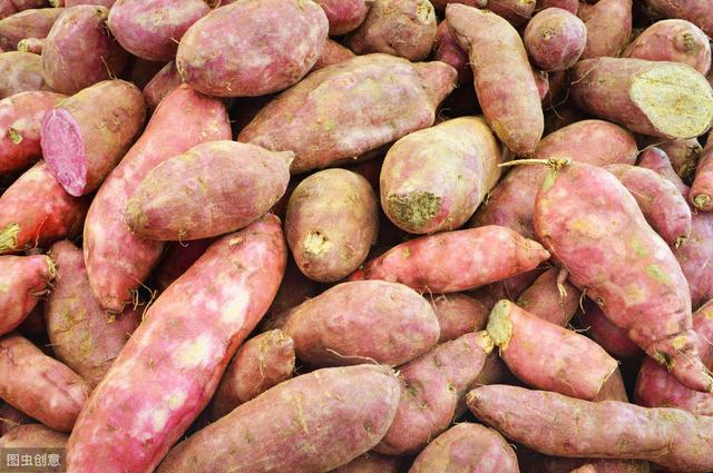 红薯品种及种植要领