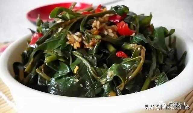像“泡方便面”一样简单种菜，种植芯台湾红枸杞种法