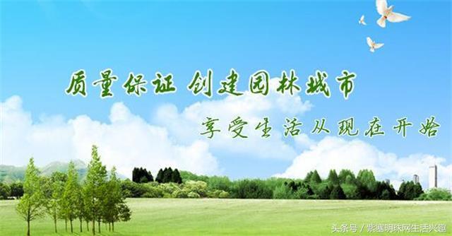 「紫塞明珠三农苗木」安徽绿源草坪种植有限公司让美丽和浪漫同在