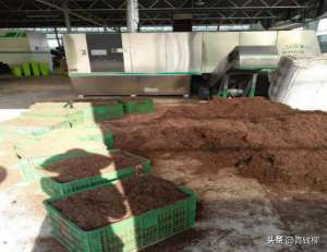 海南瓜种植技术与管理(海南省小果型西瓜周年设施基质栽培技术规程)