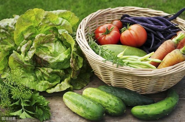 露地蔬菜种植时，做好这几点，种出优质高产蔬菜