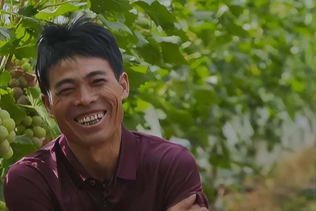 云南小伙发现商机，靠四个秘诀种植葡萄，年收入200多万元!