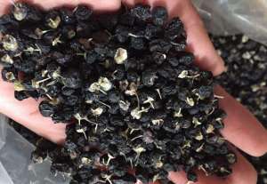 怎样种植黑枸杞子(黑果枸杞美容养颜，还能预防癌症市场价格上百元怎么种植？)