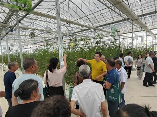 瑞安市农业农村局成功举办番茄病虫害防治培训班