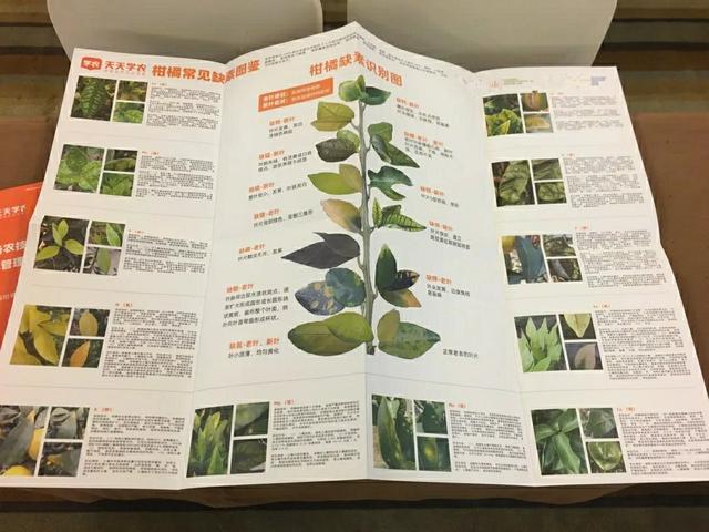 @种柑人，天天学农第一本柑橘实体农技学习手册来了！