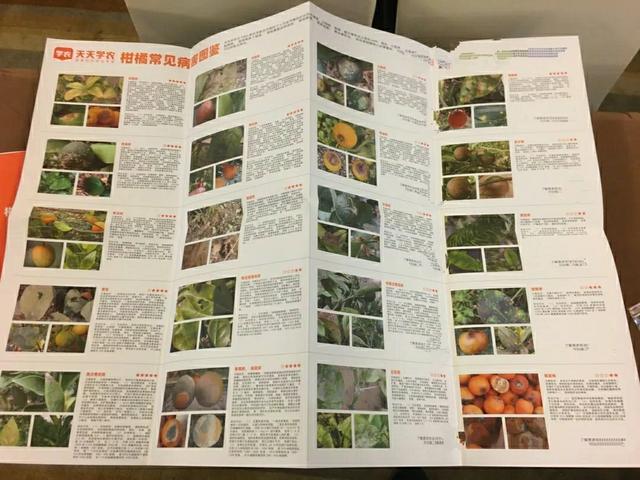@种柑人，天天学农第一本柑橘实体农技学习手册来了！