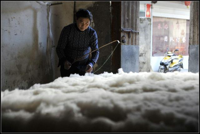 农村现在为何没有人种植棉花了，6个现实原因导致的，你认为呢？