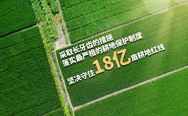 转基因大豆：中国的未来之选！