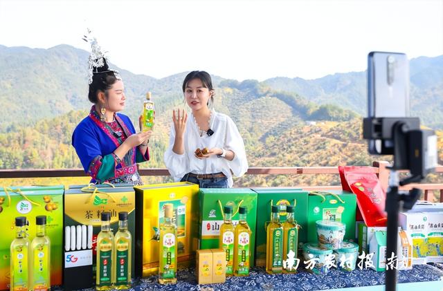 粤桂情深，油茶为信！广西三江油茶文化节开启油茶入湾新篇章