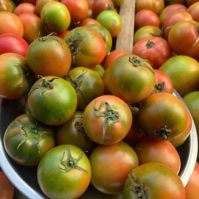 草莓番茄怎么种？学会这几个方法，你也能种出高产的草莓番茄！